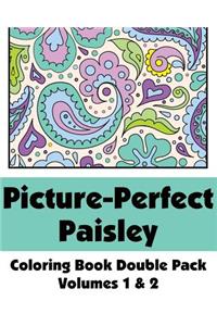 Picture-Perfect Paisley Coloring Book Double Pack (Volumes 1 & 2)