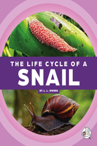 Life Cycle of a Snail