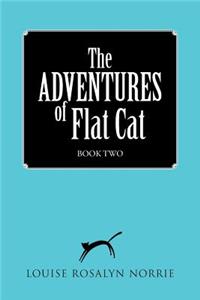 ADVENTURES of Flat Cat