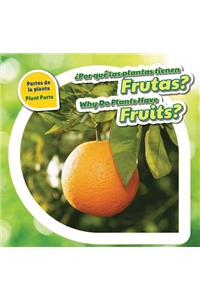 ¿Por Qué Las Plantas Tienen Frutas? / Why Do Plants Have Fruits?