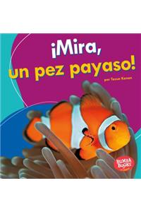 ¡Mira, Un Pez Payaso! (Look, a Clown Fish!)