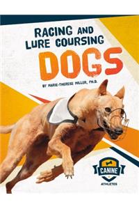 Racing and Lure Coursing Dogs