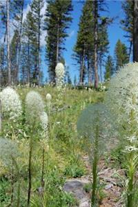 Bear Grass Journal