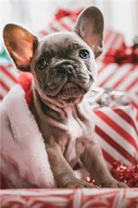 French Bulldogs Dog Pup Puppy Doggie Notebook Bullet Journal Diary Composition Book Notepad - Between Gifts