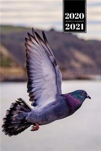 Pigeon Ornithology Bird Watching Birding Week Planner Weekly Organizer Calendar 2020 / 2021 - Above the Lake