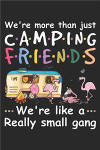 We're More Than Just Camping Friends we're like a really small gang