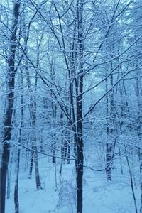 2020 Weekly Planner Winter Weather Blue Hour 134 Pages