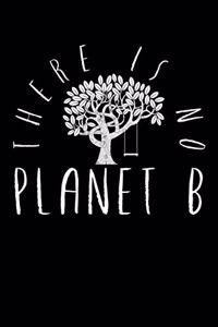 There is no Planet B