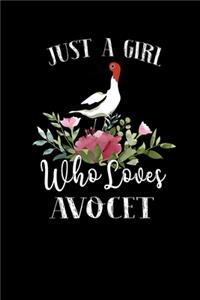 Just a Girl Who Loves Avocet