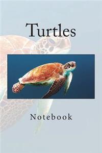 Turtles