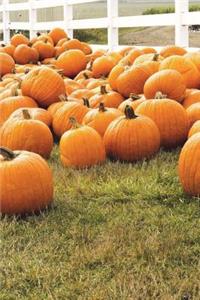 Autumn Pumpkin Patch Harvest Journal