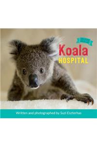 Koala Hospital