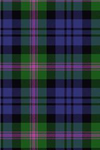 Clan Baird Tartan 100 Page Lined Journal/Notebook