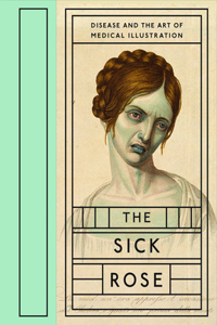 Sick Rose