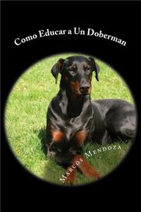 Como Educar a Un Doberman