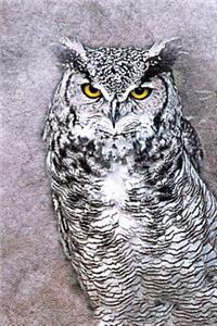 Way Cool Owl Drawing Art Illustration Journal