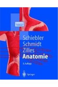 Anatomie: Zytologie, Histologie, Entwicklungsgeschichte, Makroskopische Und Mikroskopische Anatomie Des Menschen