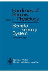 Somatosensory System