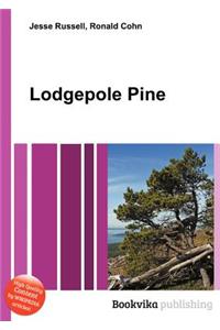 Lodgepole Pine