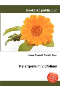 Pelargonium Vitifolium