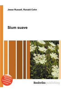 Sium Suave