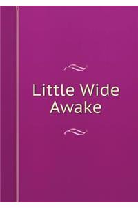 Little Wide Awake
