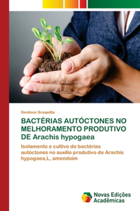 BACTÉRIAS AUTÓCTONES NO MELHORAMENTO PRODUTIVO DE Arachis hypogaea