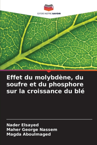 Effet du molybdène, du soufre et du phosphore sur la croissance du blé