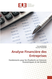 Analyse Financière des Entreprises