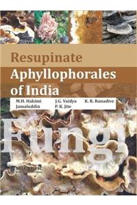 Resupinate Aphyllophorales of India