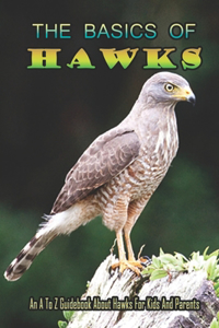 Basics Of Hawks