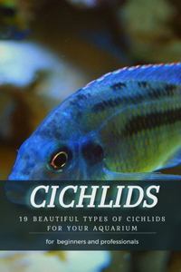 Cichlids