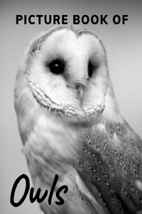 Picture Book of Owls
