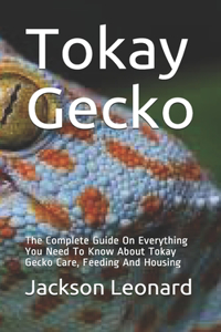 Tokay Gecko