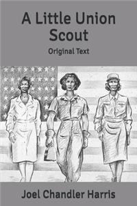A Little Union Scout