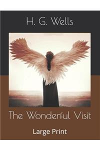 The Wonderful Visit