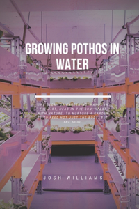 Growing Pothos In Water