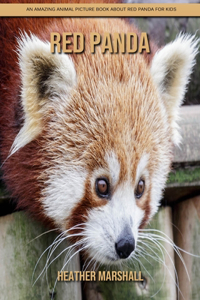 Red Panda