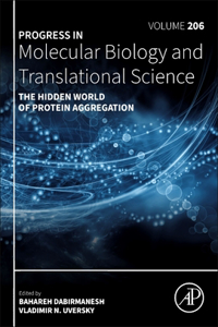 The Hidden World of Protein Aggregation