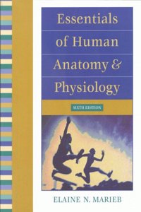 Essentials of Human Anatomy and Physiology