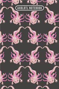 Axolotl Notebook
