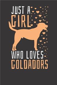 Goldador Notebook