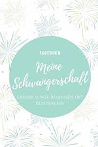 Meine Schwangerschaft Große Dinge Beginnen Oft Klitzeklein Tagebuch