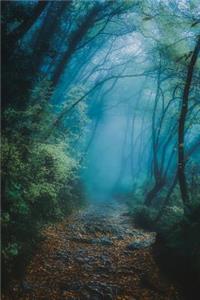 Into the Woods on a Magical Misty Morning