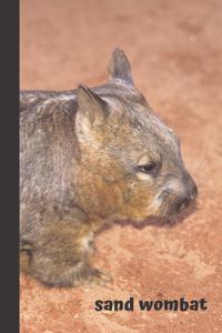 Sand Wombat