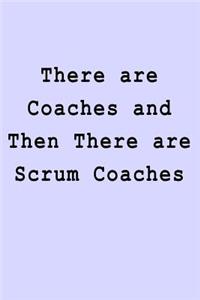 There are Coaches and Then There are Scrum Coaches