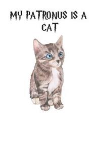 My Patronus is a Cat