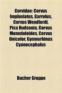 Corvidae: Corvus Impluviatus, Garrulus, Corvus Woodfordi, Pica Hudsonia, Corvus Moneduloides, Corvus Unicolor, Gymnorhinus Cyano