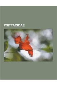 Psittacidae: Amazone de Porto Rico, Perruche Alexandre, Perruche Ondulee, Perruche a Collier, Loriinae, Conure de Caroline, Insepar