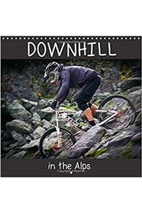 Downhill in the Alps 2017